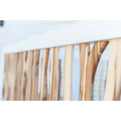 Milk Street Branch Convertible Crib 21 Milk Street Branch Convertible Crib -Kids Furniture BranchCribIntensive 2 c9888e2e 9bf6 40e5 a18b 4e97e943d771