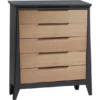 Nest Juvenile Flexx 5-Drawer Dresser -Kids Furniture Flexx 5T Dresser charcoal fdd5ab50 5b43 463d 8edc 0418b16edd4e