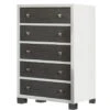 Milk Street True Tall Chest 5-Drawer Dresser 1 Milk Street True Tall Chest 5-Drawer Dresser -Kids Furniture True5DrawerDresser 4187c2ea 384c 40dc 813e c623d0de2179